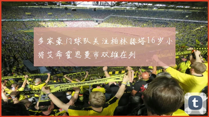 多家豪门球队关注柏林赫塔16岁小将艾希霍恩曼市双雄在列